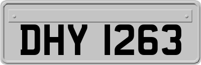 DHY1263