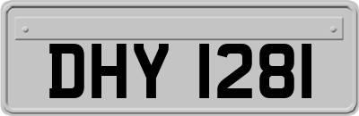 DHY1281