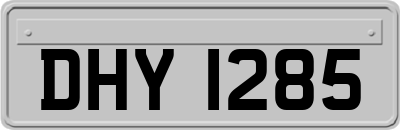DHY1285