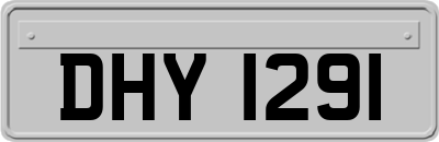 DHY1291