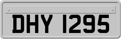 DHY1295