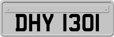 DHY1301