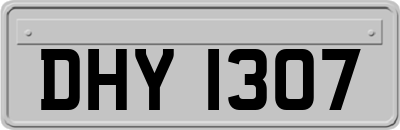 DHY1307