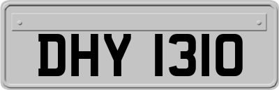 DHY1310
