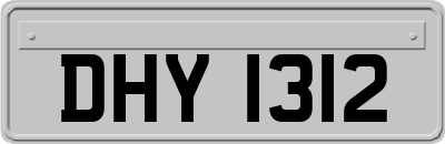 DHY1312