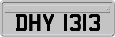 DHY1313