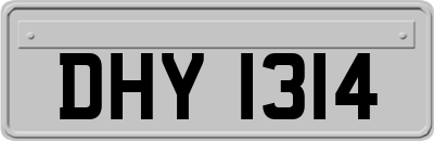DHY1314