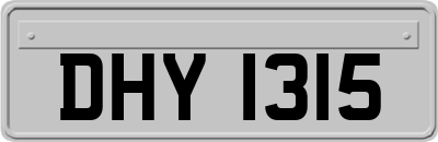 DHY1315