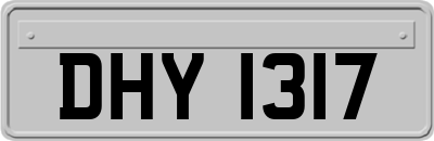 DHY1317