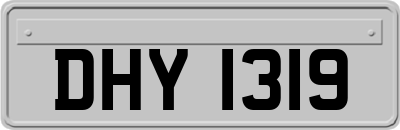 DHY1319