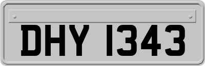 DHY1343