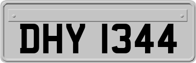 DHY1344