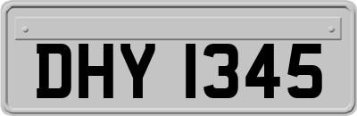 DHY1345