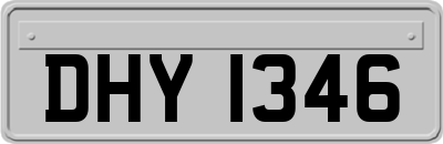 DHY1346