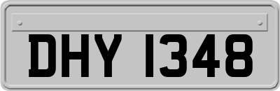 DHY1348