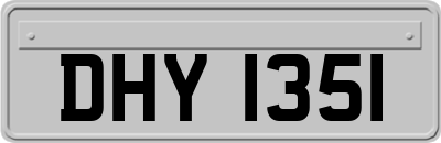 DHY1351