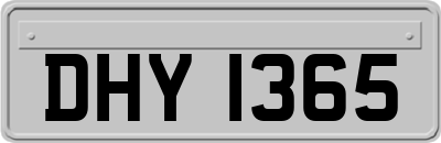 DHY1365
