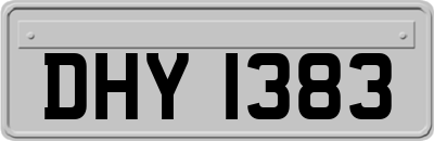 DHY1383