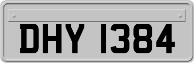 DHY1384