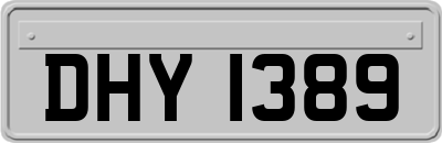 DHY1389