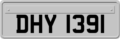 DHY1391