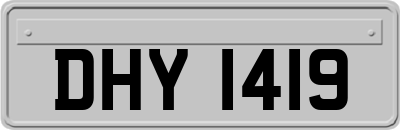 DHY1419
