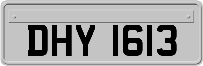 DHY1613