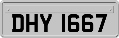 DHY1667