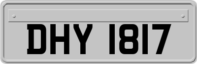 DHY1817