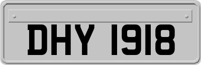 DHY1918