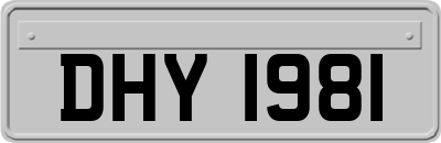 DHY1981