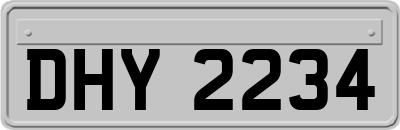 DHY2234