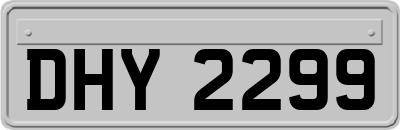 DHY2299