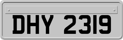 DHY2319