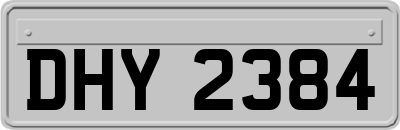 DHY2384