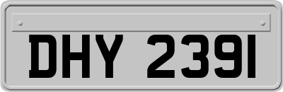 DHY2391