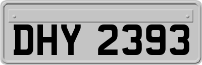 DHY2393