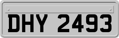 DHY2493