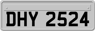 DHY2524