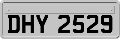 DHY2529