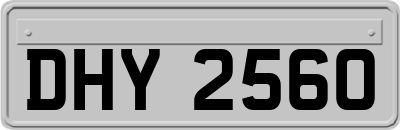 DHY2560