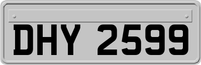 DHY2599