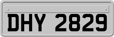DHY2829