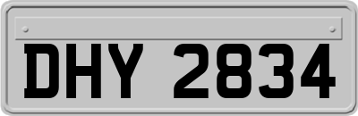 DHY2834