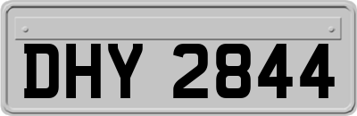 DHY2844