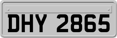 DHY2865