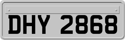 DHY2868