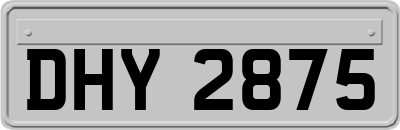 DHY2875