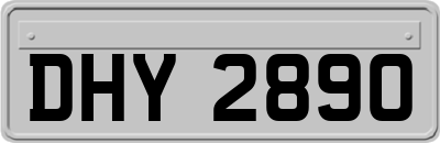 DHY2890