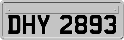 DHY2893